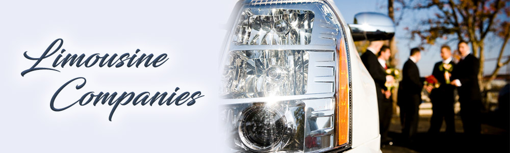 Limo Full Banner