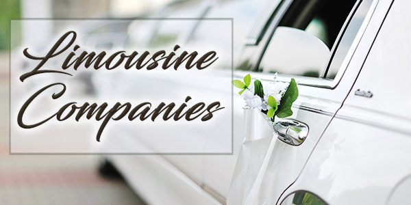 limo mobile Banner