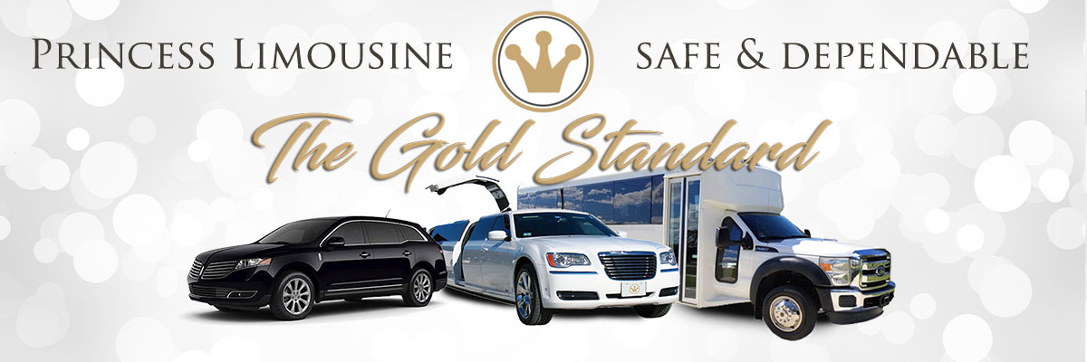 princess limo Banner