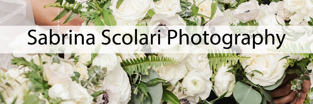 sabrina banner
