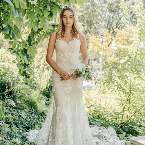 A beautiful wedding dress